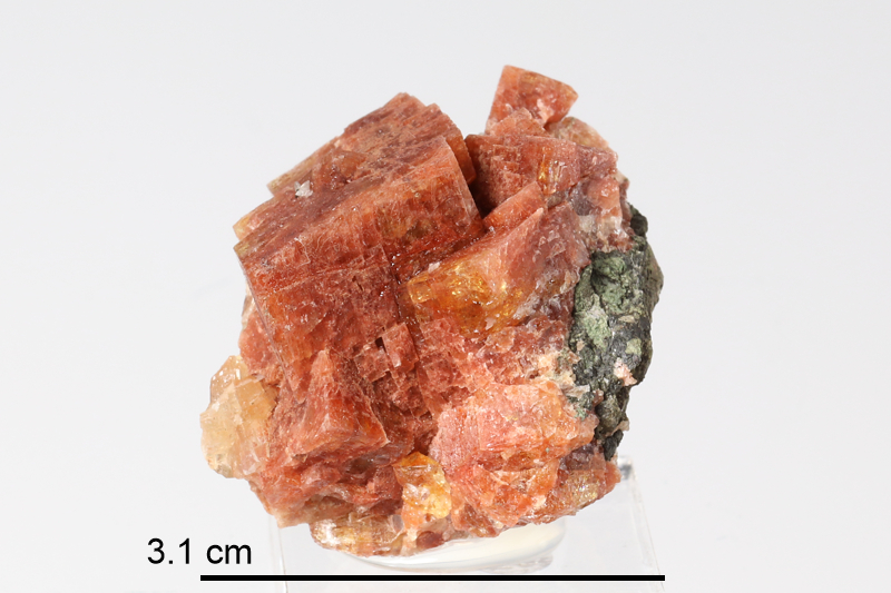 Chabazite (Nova Scotia)